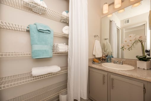 Apartments in Lawrenceville Georgia for Rent – Park on Sweetwater - a bathroom with a sink and a mirror and a shower