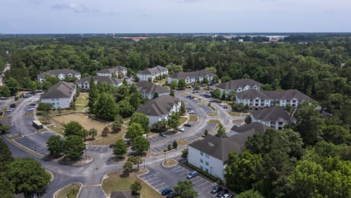 Pet-Friendly Apartments in Savannah, GA – Canvas at Savannah – an aerial view of our neighborhood
