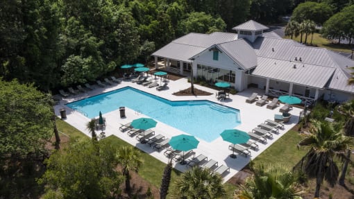 Pet-Friendly Apartments in Savannah, GA – The Palms at Chatham – arial view of a resort style pool with lounge chairs and umbrellas