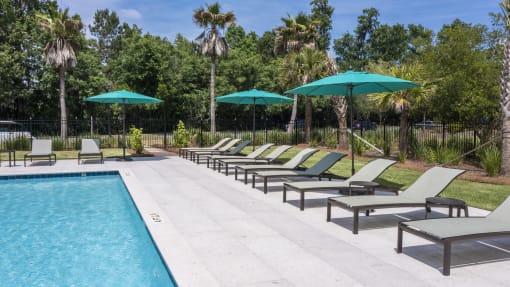 Savannah, GA Apartments – The Palms at Chatham– a pool with chaise lounge chairs and umbrellas