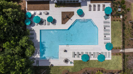 Apartments in Savannah, GA for Rent –The Palms at Chatham- arial view of a resort style pool with lounge chairs and umbrellas