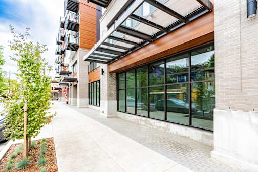 A tree is on the left side of a building with a glass wall.