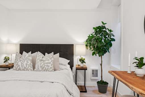A bedroom with a large bed and a potted plant on the side table.