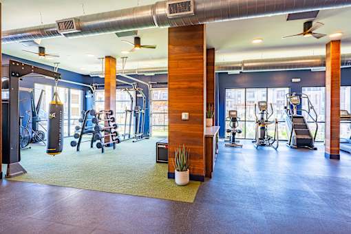 A gym with a variety of equipment including weights, a bench press, and a treadmill.