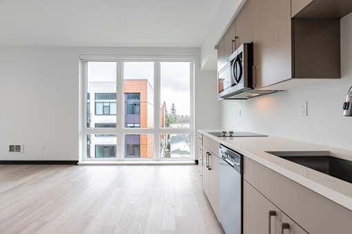 A modern kitchen with a dishwasher and microwave.
