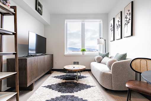 A living room with a couch, a television, and a rug.