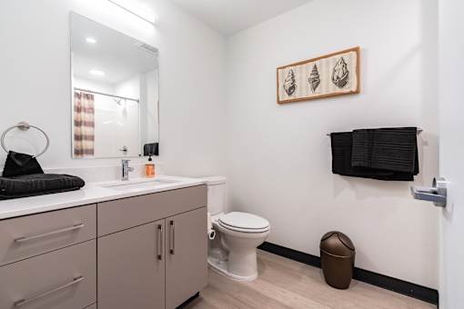 A bathroom with a toilet, sink, and a mirror.