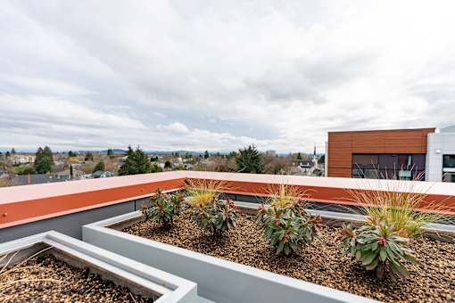 A rooftop garden with a white and orange building in the background.