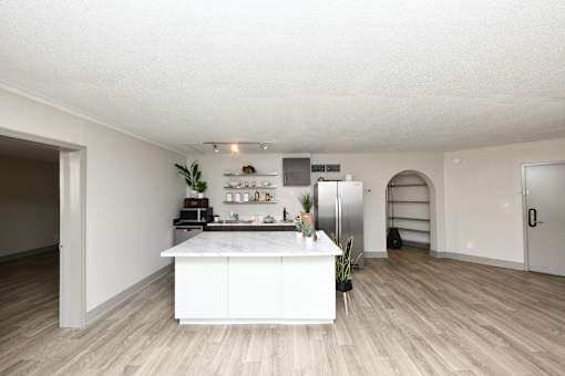 A kitchen with a white countertop and a plant on it.