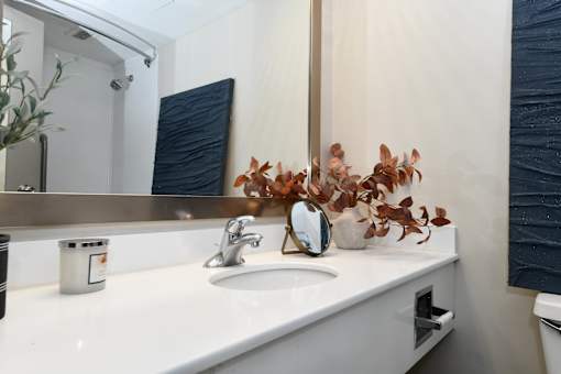 A bathroom sink with a mirror and a plant on the counter.