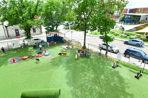 A playground with a green surface and children playing.