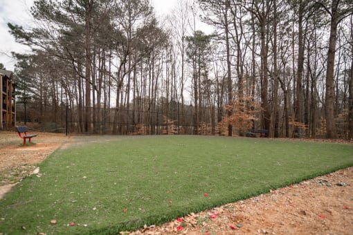 Flats at Riverview apartments in Duluth, GA 30096 photo of green field