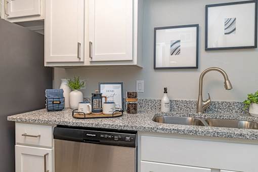 Pet-Friendly Apartments In Hendersonville, TN – Reserve at Drakes Creek-A kitchen with a stainless steel dishwasher and a granite countertop.