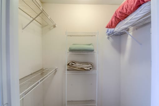 Twin Oaks Apartments in Hattiesburg Mississippi photo of a walk in closet in the master bedroom