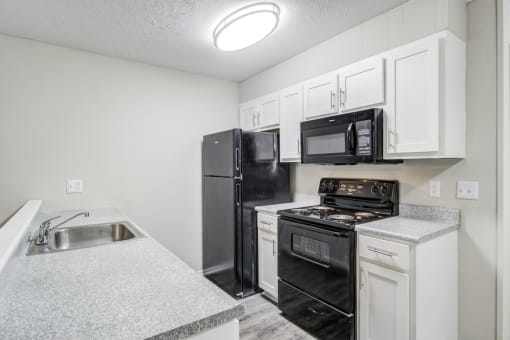 The Element at 3900 Cozy Kitchen Black Appliances