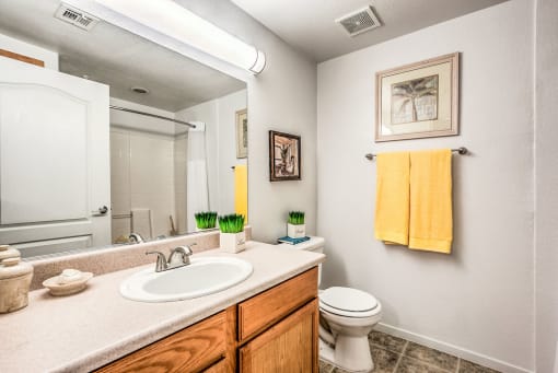 Bathroom with updated countertops