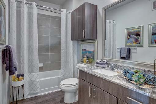 Bathroom with modern finishes in luxury apartments in Williamson County TX