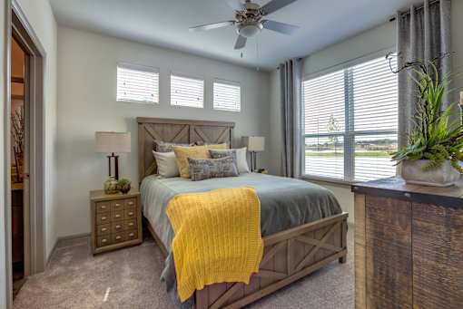 Bedroom with natural light in pet-friendly apartments in North Georgetown TX