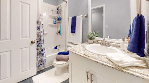 Bathroom at Broad on the Green in Augusta, GA, featuring a tub and shower combination and a large mirror over the sink in a pet-friendly apartment community.