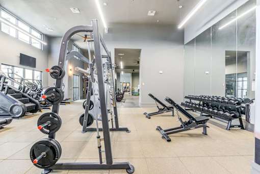 A gym with a variety of equipment including dumbbells, weight plates, and a bench press.