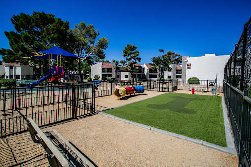 Fenced dog park with artificial turf at pet-friendly Haven at Lone Mountain apartments in Las Vegas