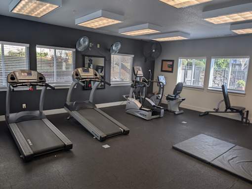 A gym with treadmills, elliptical machines, and other exercise equipment.