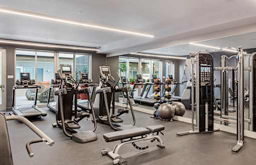 A gym with a variety of equipment including treadmills, weights, and exercise machines.