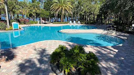 A large outdoor swimming pool surrounded by palm trees.