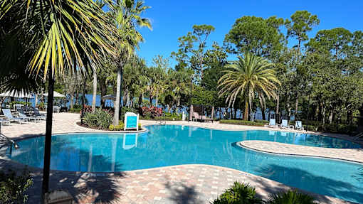 A swimming pool surrounded by palm trees and lounge chairs.