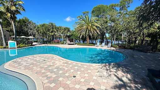 A swimming pool surrounded by palm trees and a clear blue sky.
