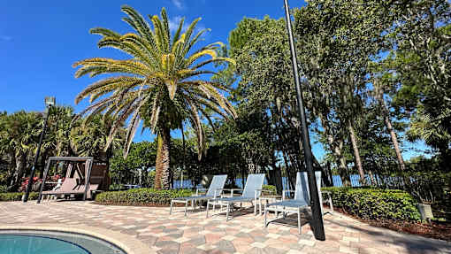 A palm tree stands tall in a sunny backyard.