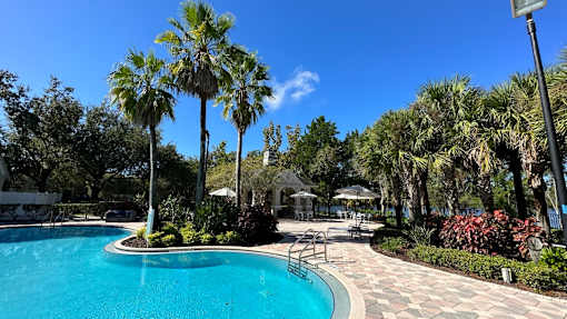 A pool surrounded by palm trees and a walkway.