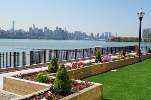 A city skyline is visible in the distance behind a row of flower beds.