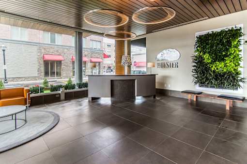 A modern lobby with a wooden ceiling and a green plant on the wall.
