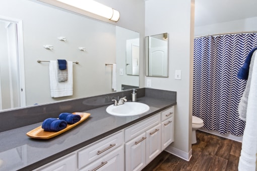 Apartments in Downey, CA - Park Regency Club Apartments Bathroom With Sleek Cabinets and Countertops, Wood Style Flooring and Chic Blue Decor