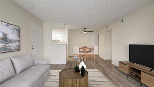A living room with a grey couch, a wooden coffee table, and a television.