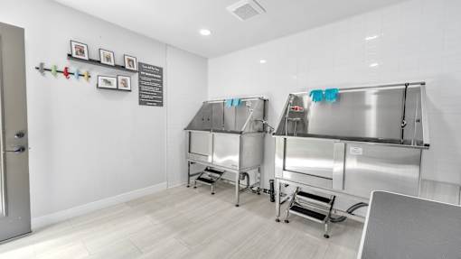 A clean, empty commercial kitchen with stainless steel appliances and white walls.