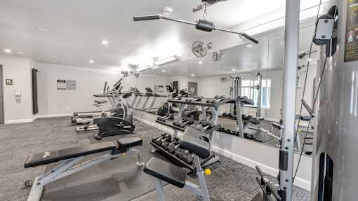 A gym with a variety of equipment including treadmills, weights, and exercise machines.