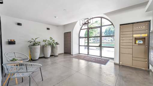 A white interior with a black chair and three potted plants.