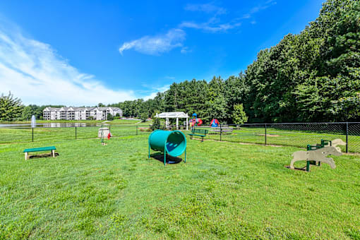 A playground with a green slide and a red slide.