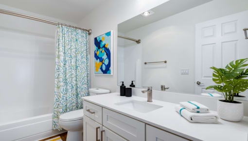 2-Bedroom Apartments in Everett, Washington - Woodbrook - Bathroom With A White Vanity, Large Mirror, Bathtub, Colorful Wall Art, Folded Towels, And Green Plant.