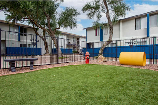 Pet-Friendly Apartments In Tucson, AZ – Midtown on Seneca - Photo of Dogpark