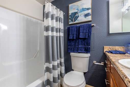 Pet-Friendly Apartments In Tucson, AZ – Midtown on Seneca - Photo of bathroom