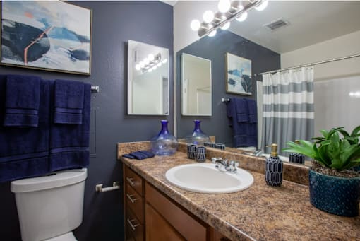 Pet-Friendly Apartments In Tucson, AZ – Midtown on Seneca - Photo of Bathroom with luxury vanity