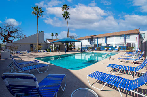 Pet-Friendly Apartments In Tucson, AZ – Midtown on Seneca - Photo of Swimming Pool