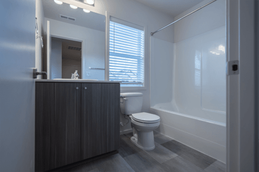 Vancouver, WA, Apartments Near Salmon Creek Regional Park - Minnehaha Meadows - Bathroom with Soaking Tub, Single Vanity, Wood Cabinetry, Mirror, Light Fixtures, and Vinyl Plank Flooring.