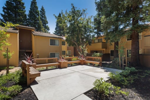 Pet Friendly Apartments in Martinez CA - Mission Pines - Outdoor Courtyard with Lush Landscaping and Wooden Benches