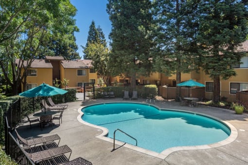 Apartments in Martinez CA for Rent - Mission Pines - Sparkling Pool Surrounded By Lounge Seating and Dining Areas