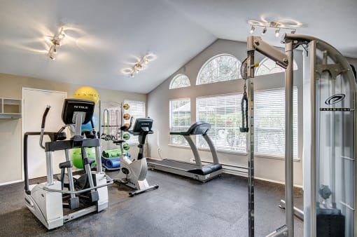 fitness center- cardio machines, weighted machines
