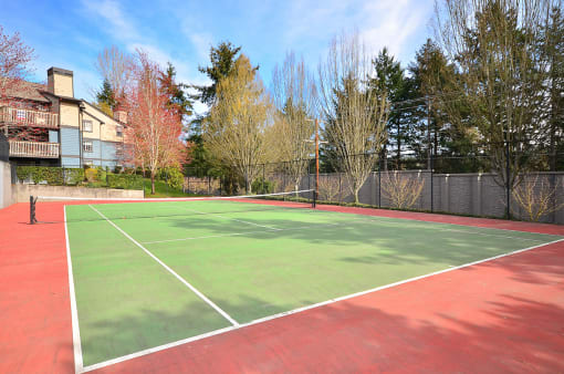 tennis court